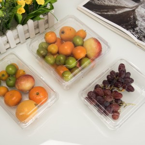 Υψηλή διαφάνεια φιλικό προς το περιβάλλον πλαστικό δοχείο φρούτων μιας χρήσης